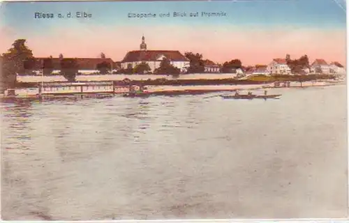 27987 AK Riesa a.d. Elbe Blick auf Promnitz um 1910