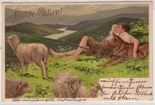27962 Fröhliche Ostern Präge Ak Junge mit Hund und Schafen 1905
