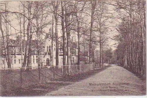 27860 Ak Hannover Waldwirtschaft Steuerndieb 1905