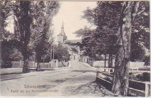 27471 Ak Schwaneck Halberstadterstraße 1919