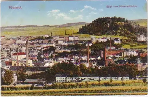 27119 Ak Pössneck Blick vom Birkenwäldchen um 1920