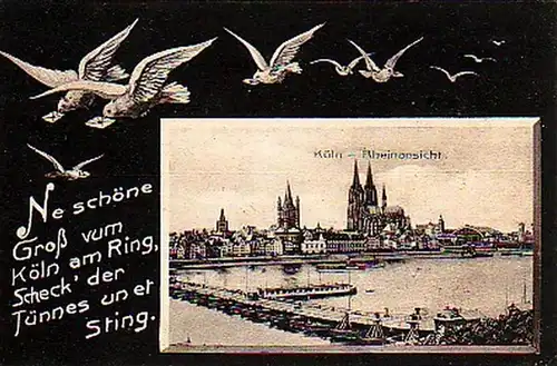 27091 Schwalben Ak Cologne Vue sur le Rhin 1907