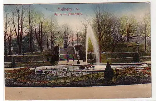 27052 Ak Freiberg in Sachsen Partie im Albertpark 1915