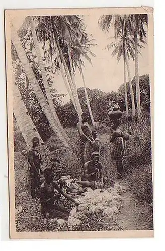27024 Ak Afrique Noires à la récolte de noix de coco 1912