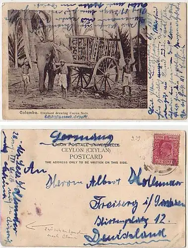 26917 Ak III. Seebataillon Ceylon nach Freiberg 1907