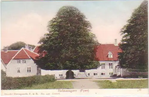 26685 Ak Hofmansgave (Fyen) Dänemark um 1910