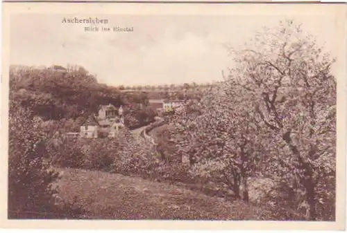 26675 Ak Aschersleben Blick ins Einetal 1931