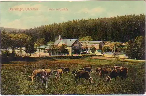 2651 Ak Braunlage Oberharz Hotel Waldmühle 1910