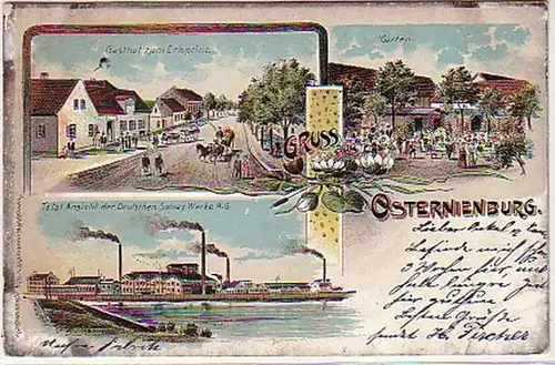 26481 Ak Lithografie Gruss aus Osternienburg 1904