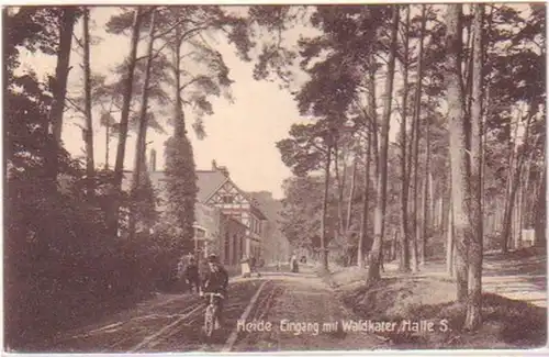 25765 Ak Heide entrée avec Waldkater Halle Salle 1915