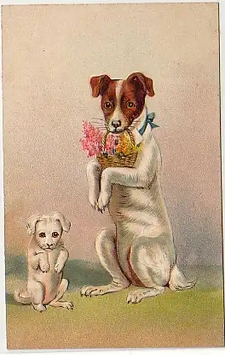 25674 Humor Präge Ak 2 Hunde mit Korb im Maul um 1910