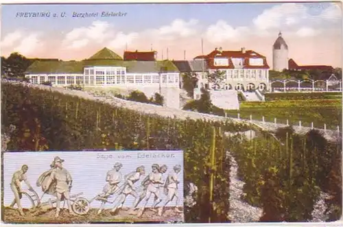 25655 Ak Freyburg a.U. Berghotel Edelacker vers 1920