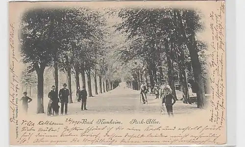 25572 Ak Bad Nauheim Park Allee 1898