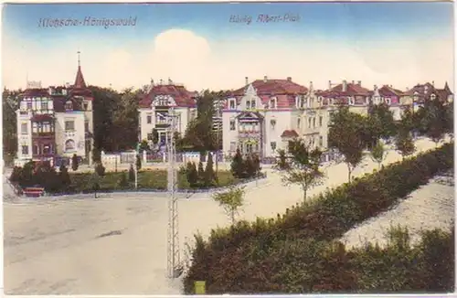 25345 Ak Klotzsche Königswald König Albert Park 1915