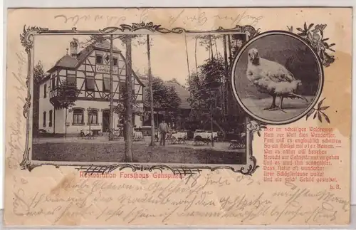 25282 Ak Restauration Forsthaus Gehspitze 1903