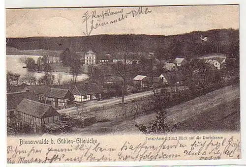 25061 Ak forêt d'abeilles à Gühlen Glienicke 1904