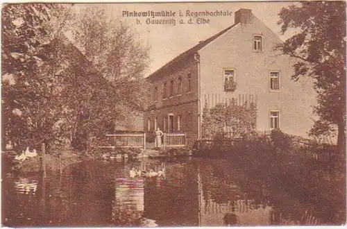 24927 Ak Pinkowitzmühle Regenbachtal bei Gauernitz 1930