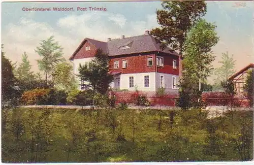 24862 Ak Oberförsterei Walddorf Post Trünzig um 1920