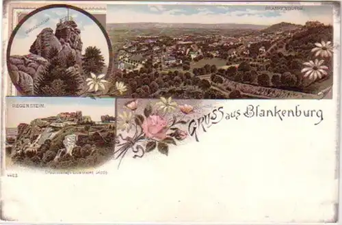 24500 Ak Lithografie Gruss aus Blankenburg um 1900