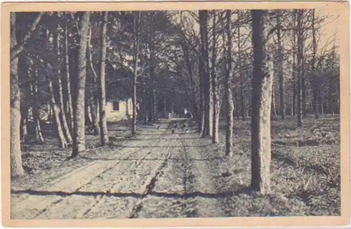 24361 Ak Waldweg am Forsthaus Stampitza vers 1930