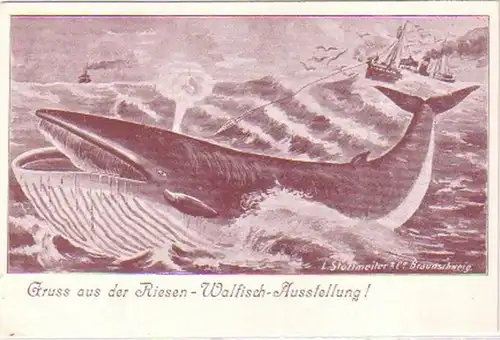 24156 Salutation Ak de la géante Walfisch Exposition 1900