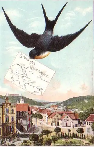 23814 Schwalben Ak Gruss aus Waltershausen 1905