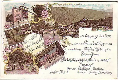 23713 Lithographie Schwarzburg Thüringe. Verres Hotel 1900
