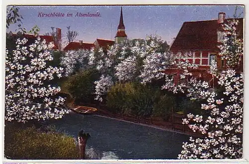 23244 Ak cerisier fleur dans l'Altenlande ferry hangar vers 1920