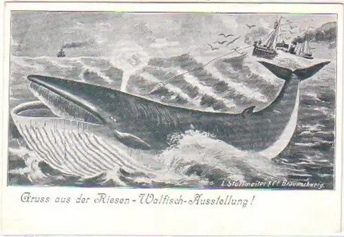 23223 Ak Gruß aus der Riesen Walfisch Ausstellung 1900