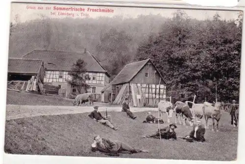 23181 Ak Gruß aus der Froschmühle bei Eisenberg 1909