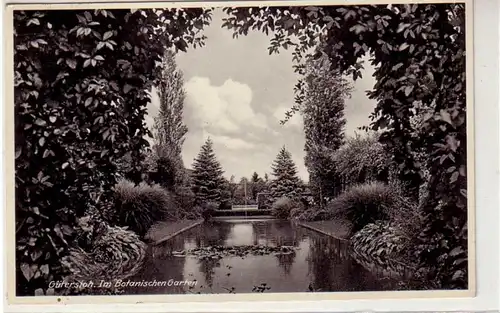 23164 Ak Gütersloh dans le jardin botanique 1936