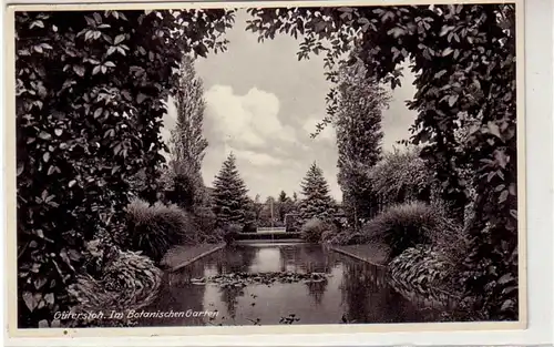 23164 Ak Gütersloh im botanischen Garten 1936
