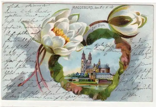 23059 Seerosen Ak Magdeburg de la cathédrale 1903