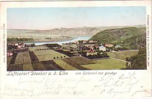 23012 Ak Luftcurort Diesbar a.d. Elbe vom Golkwald 1909