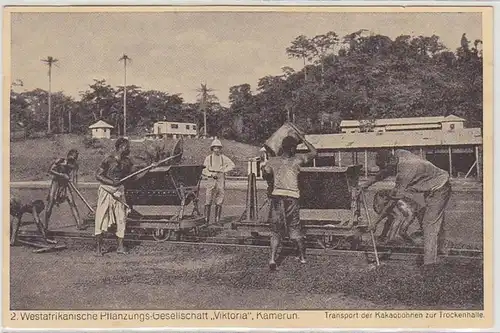 23004 Ak Kamerun Kakao Pflanzung um 1920