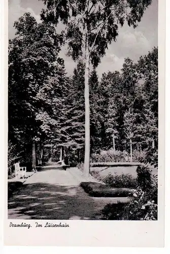 21936 Ak Dramburg à Poméranie dans la Luisenhain vers 1940