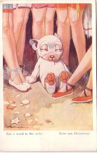 21444 Humor Ak Hund "Bitte um Diskretion!" um 1930
