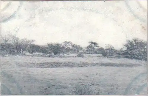 21348 Ak DSWA Partie du territoire Kuibis vers 1905