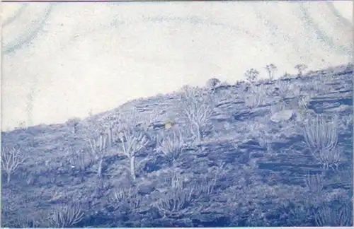 21334 Ak colonie DSWA paysage à Naros vers 1905