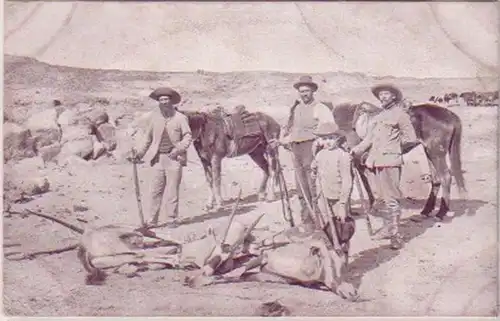21290 Ak DSWA Farmer sur Gemsbock la chasse aux antilopes vers 1905