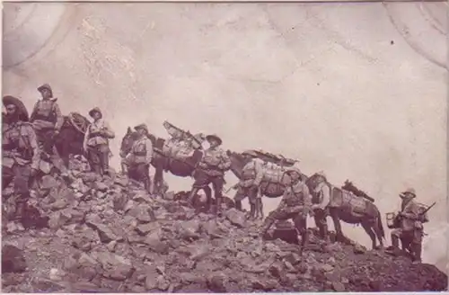 21285 Ak DSWA Ascension de la batterie de montagne vers 1905
