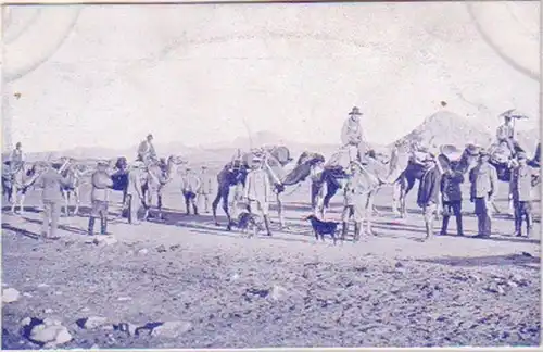 21283 Ak colonie allemande DSWA chameau transport vers 1905