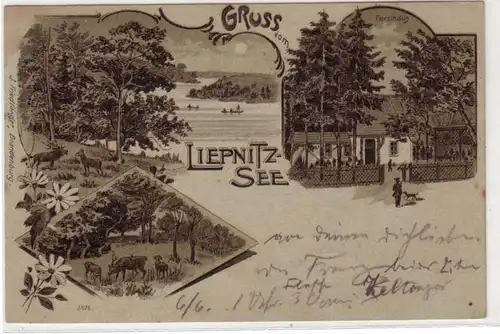 21165 Multi-image Ak Salutation du lac Liepnitz 1900