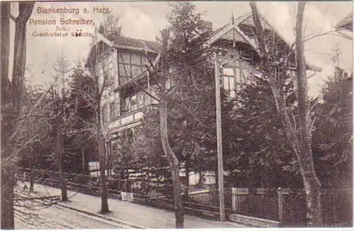 20830 Ak Blankenburg a. Harz Pension Schreiber 1909