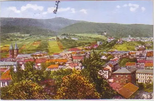 20773 Ak Neustadt an der Haardt Panorama 1929