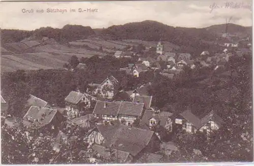 20718 Ak Gruß vom Sülzhayn im S.-Harz 1907