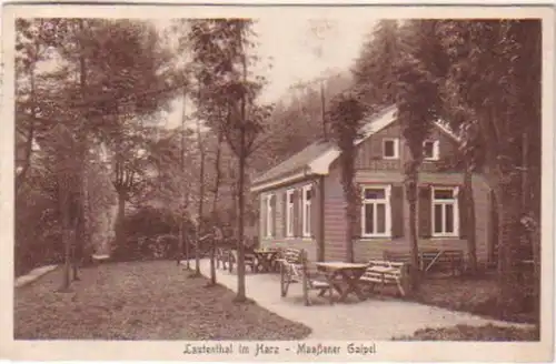 20238 Ak Lautenthal im Harz Maaßener Gaipel 1929