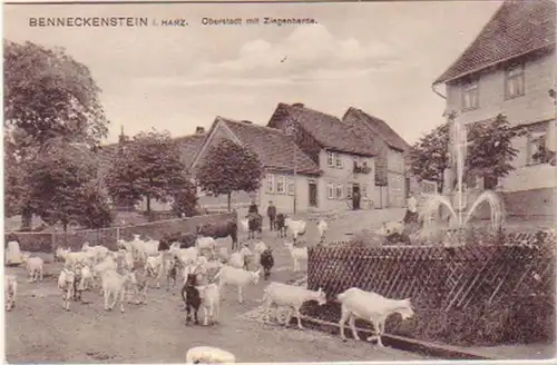 19691 Ak Benneckenstein Haute ville avec troupeau de chèvres 1910
