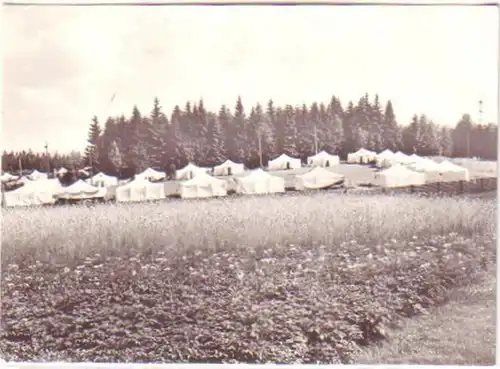19341 Ak Grünheide dans le camp de pionniers du Vogtland 1973