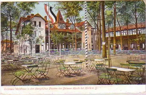 19118 Ak Dölauer Haider près du hall à la vente 1911